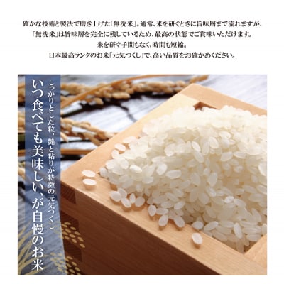 令和7年産 無洗米 元気つくし25kg