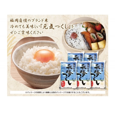 無洗米 元気つくし25kg