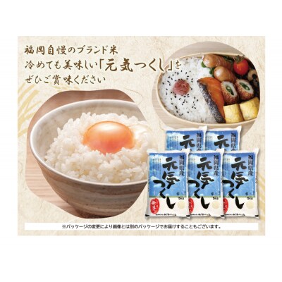 【新米】令和7年産 無洗米 元気つくし25kg