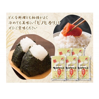 無洗米 ヒノヒカリ25kg