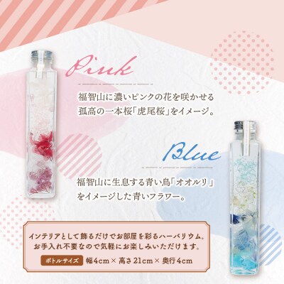 ハーバリウム2本セット「福智の煌」【ピンク×青】