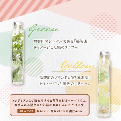 ハーバリウム2本セット「福智の煌」【緑×黄】