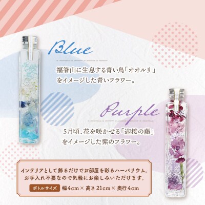 ハーバリウム2本セット「福智の煌」【青×紫】