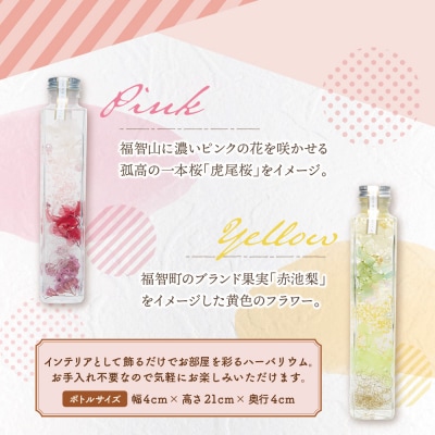 ハーバリウム2本セット「福智の煌」【ピンク×黄】