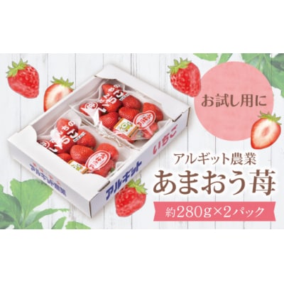 アルギット農業「あまおう苺」(2パック) 
