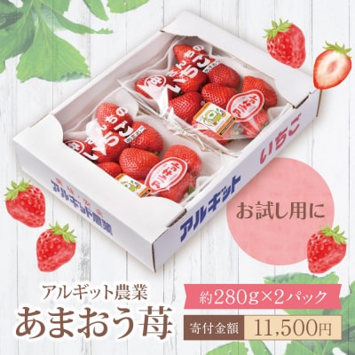 アルギット農業「あまおう苺」(2パック) 