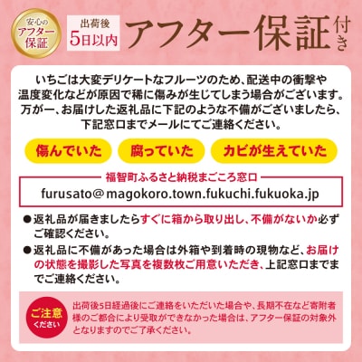 アルギット農業「あまおう苺」(2パック) 