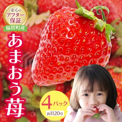 アルギット農業「あまおう苺」(4パック)