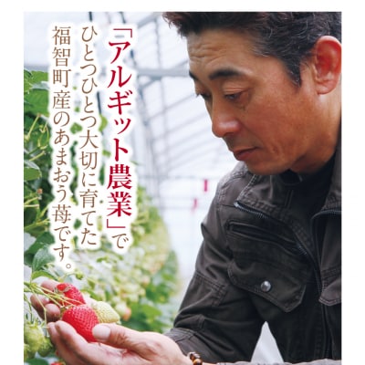 アルギット農業「あまおう苺」(4パック)