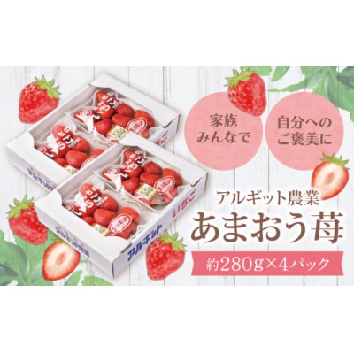 アルギット農業「あまおう苺」(4パック)
