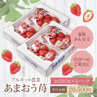 アルギット農業「あまおう苺」(4パック)