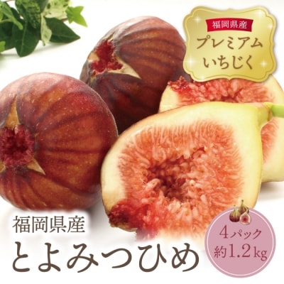 【2025年発送】とよみつひめイチジク(4パック)