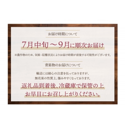 【2025年発送】とよみつひめイチジク(4パック)