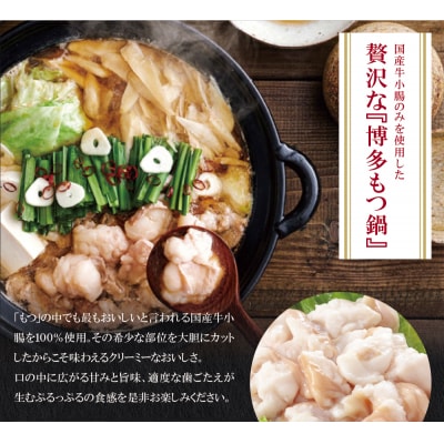 やまや 明太子付き・博多もつ鍋(こく味噌味)1～2人前セット