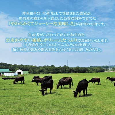 【訳あり】博多和牛　切り落とし1kg (500g×2パック)