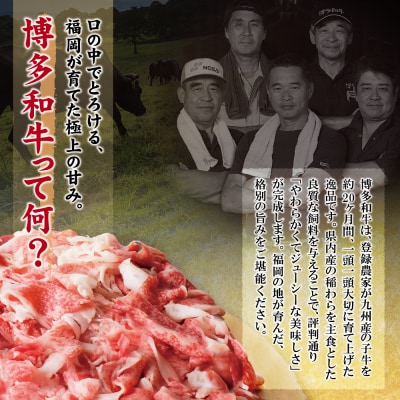 【訳あり】博多和牛　切り落とし1kg (500g×2パック)