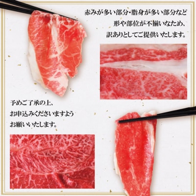 【訳あり】博多和牛　切り落とし1kg (500g×2パック)