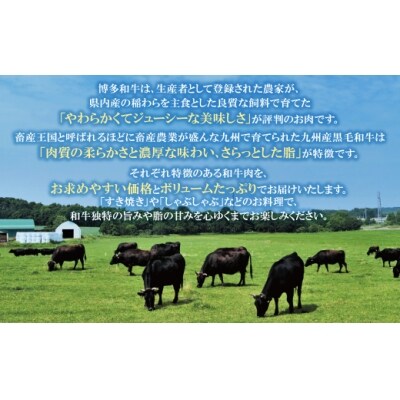 【訳あり】博多和牛・九州産黒毛和牛 切り落とし2kg (500g×4パック)