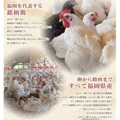 はかた一番どりバラエティ定期便(毎月・年12回)