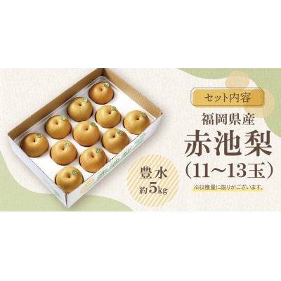赤池梨(豊水)約5kg