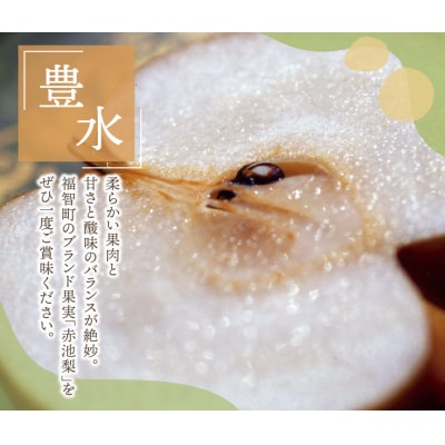 赤池梨(豊水)約5kg