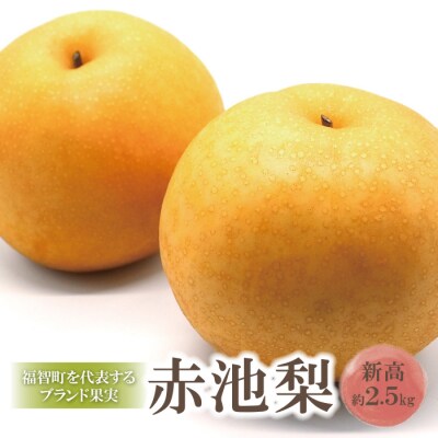 赤池梨(新高)約2.5kg