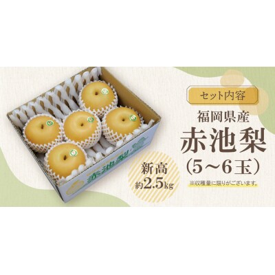 赤池梨(新高)約2.5kg