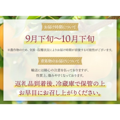赤池梨(新高)約2.5kg
