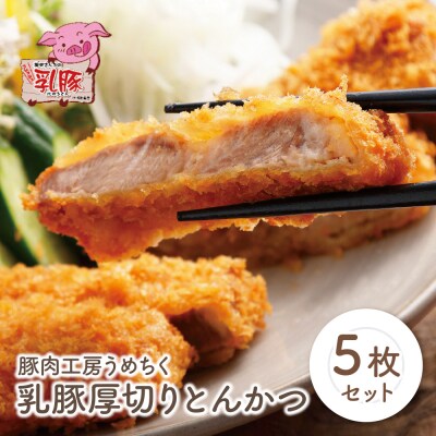 乳豚厚切りとんかつ5枚