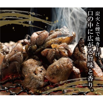 はかた地どり 炭火焼500g定期便(隔月・年6回)