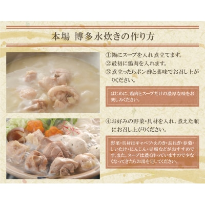 はかた地どり 炭火焼・水炊き定期便(隔月・年6回)