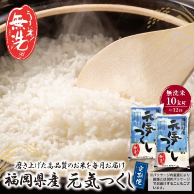 無洗米 福岡県産・元気つくし10kg定期便(毎月・年12回)