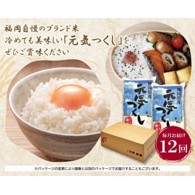 無洗米 福岡県産・元気つくし10kg定期便(毎月・年12回)