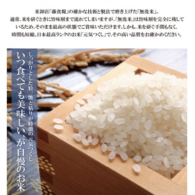 無洗米 福岡県産・元気つくし10kg定期便(毎月・年12回)