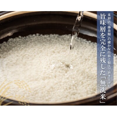 無洗米 福岡県産・元気つくし10kg定期便(毎月・年12回)