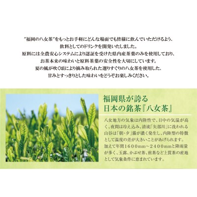 福岡の八女茶 煎茶ペットボトル(24本)定期便(隔月・3回)