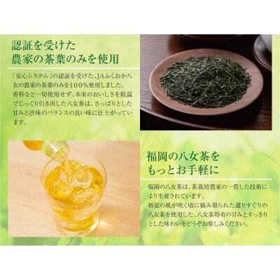 福岡の八女茶 煎茶ペットボトル(24本)定期便(隔月・3回)