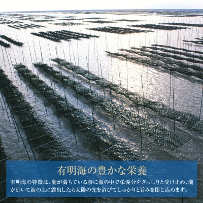 福岡有明のり一番摘み 大丸ボトル味海苔 10切80枚 4本セット