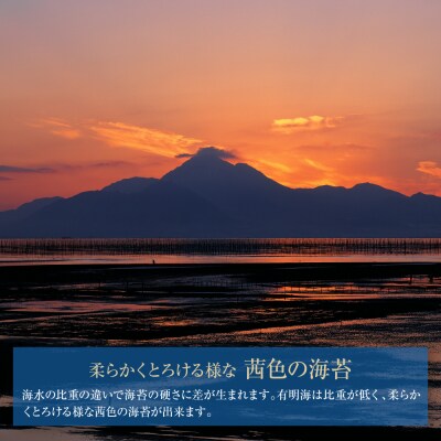 福岡有明のり一番摘み 大丸ボトル味海苔 10切80枚 4本セット