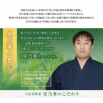 八女茶 煎茶ティーバッグ3g 200個入