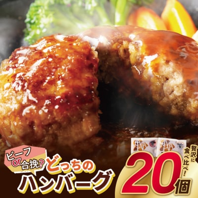 どっちのハンバーグ!?デミグラスソース20個セット