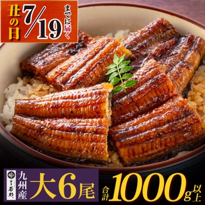 【丑の日7/19までにお届け】国産うなぎ蒲焼6尾(計1000g以上)鰻蒲焼用タレ・山椒付