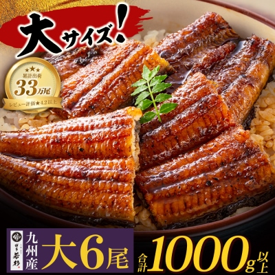 【8/19～寄付額改定】国産うなぎ蒲焼6尾(計1000g以上)鰻蒲焼用タレ・山椒付