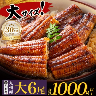 国産うなぎ蒲焼6尾(計1000g以上)鰻蒲焼用タレ・山椒付