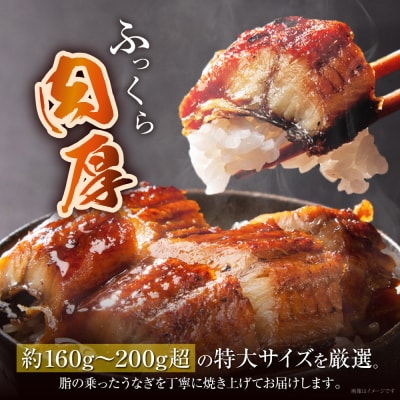 国産うなぎ蒲焼特大4尾(計800g以上)鰻蒲焼用タレ・山椒付