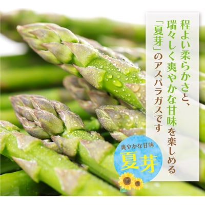 清流・有機肥料使用 アスパラガス(夏芽) 1kg(M)