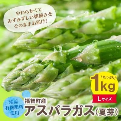 清流・有機肥料使用 アスパラガス(夏芽) 1kg(L)