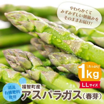 清流・有機肥料使用 アスパラガス(春芽) 1kg(LL)