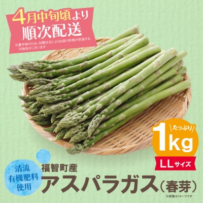清流・有機肥料使用 アスパラガス(春芽) 1kg(LL)