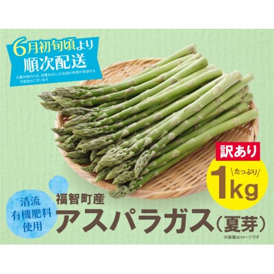 【訳あり】清流・有機肥料使用 アスパラガス(夏芽) 1kg